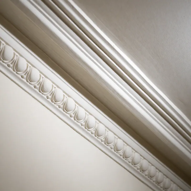 A plaster cornice detail from the original ceiling, close up